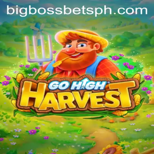 GoHighHarvest: The Thrilling Adventure in the World of BigBossBets